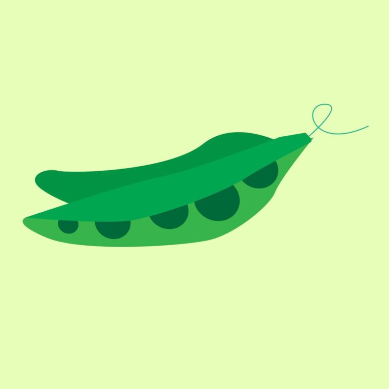 Fresh Peas icon vector – Green Vegetable image