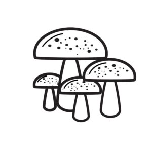Mushroom icon vector – Line art drawing EPS, Image