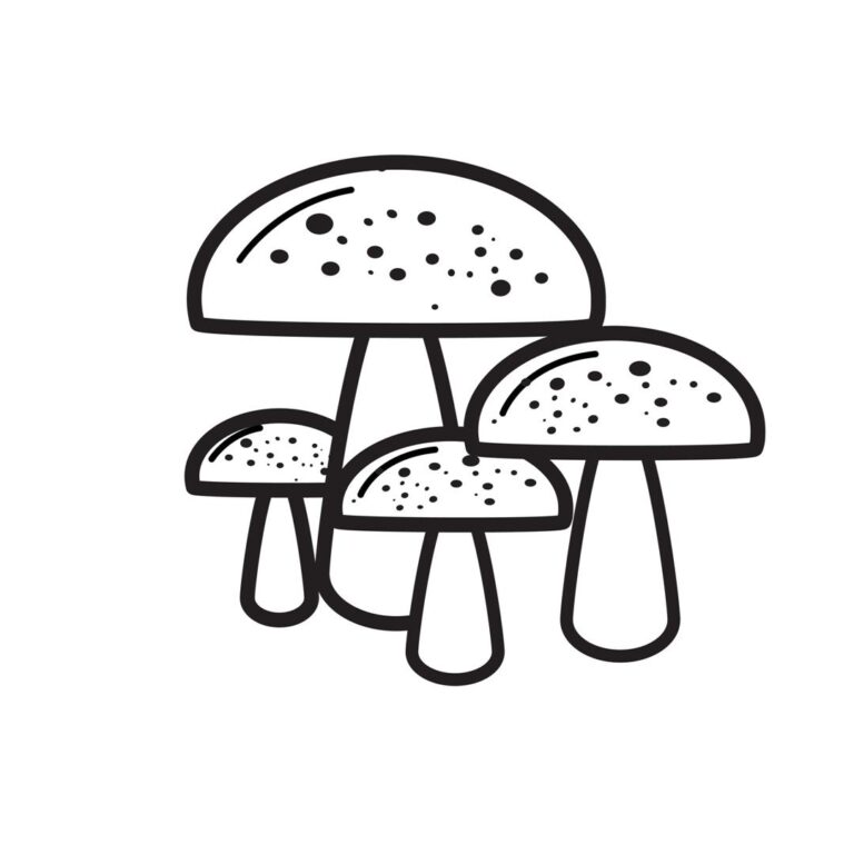 Mushroom icon vector – Line art drawing EPS, Image
