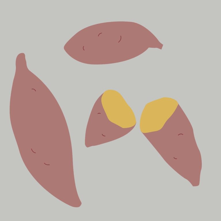 Sweet potato vector – Vegetable & Fruits EPS / Images