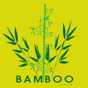 Bamboo vector illustration – Tree leaf eps Design