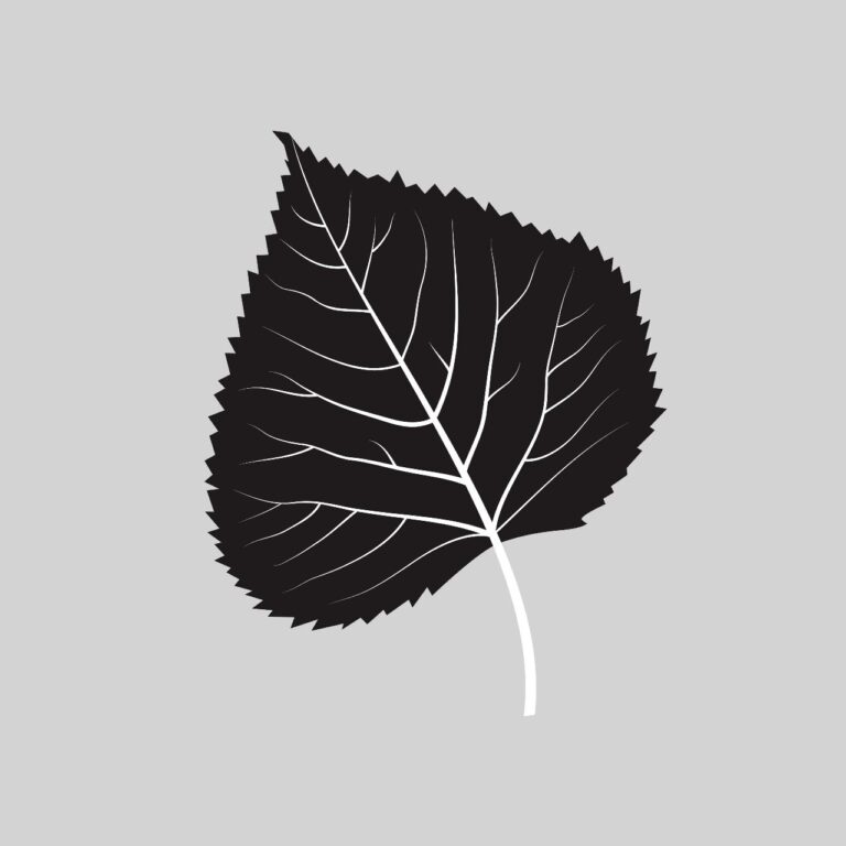 Black leaf silhouette vector – Black & White Leaves