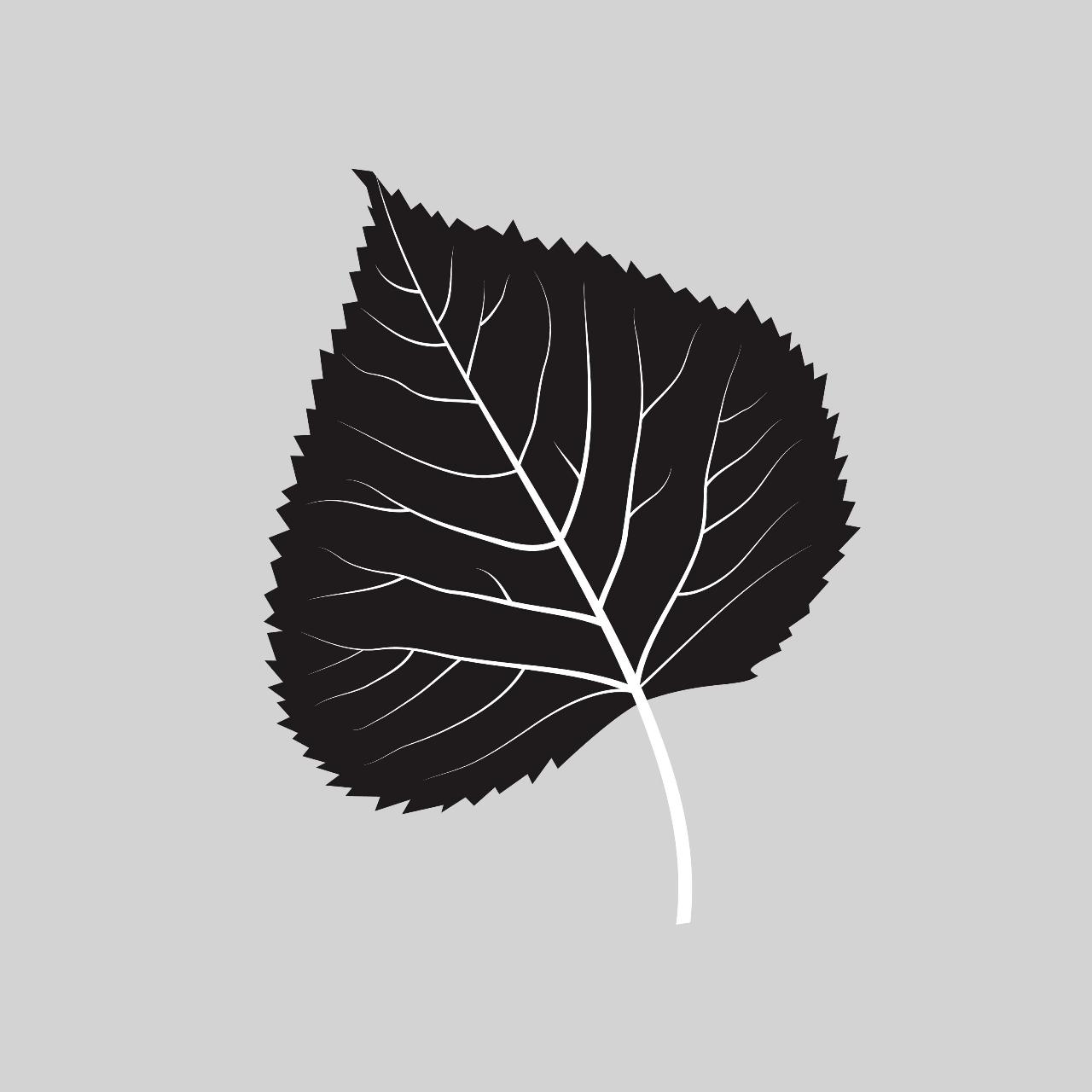Black leaf silhouette vector – Black & White Leaves
