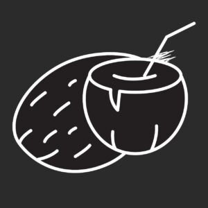 Coconut icon vector illustration EPS, JPG, SVG