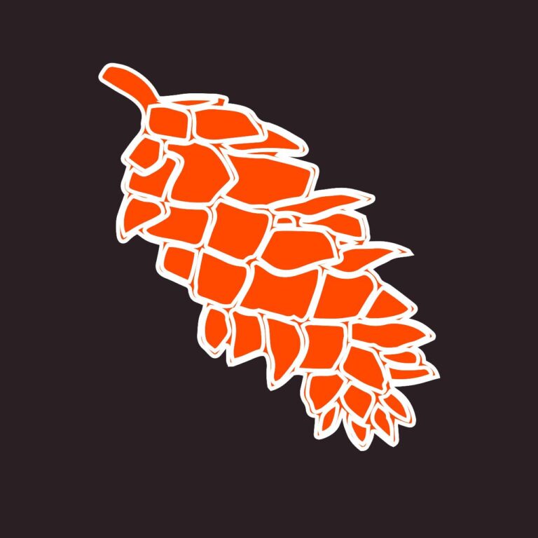 Pine cone vector
